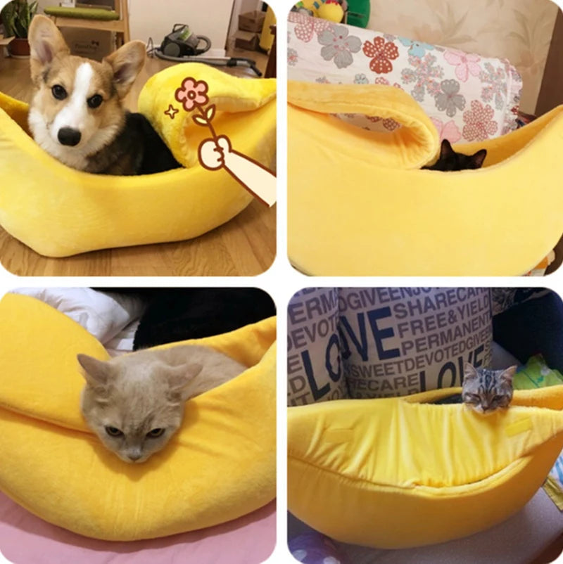 Banana Bed for Cats.... and more!