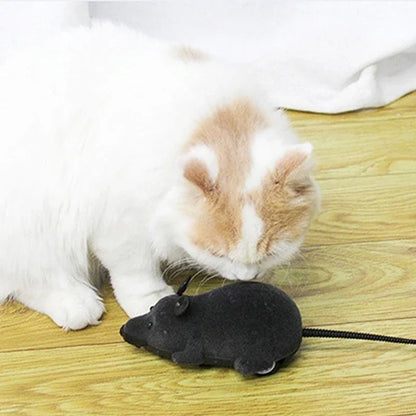 Remote Control Mouse Toy