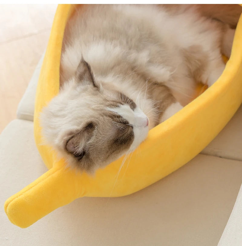 Banana Bed for Cats.... and more!