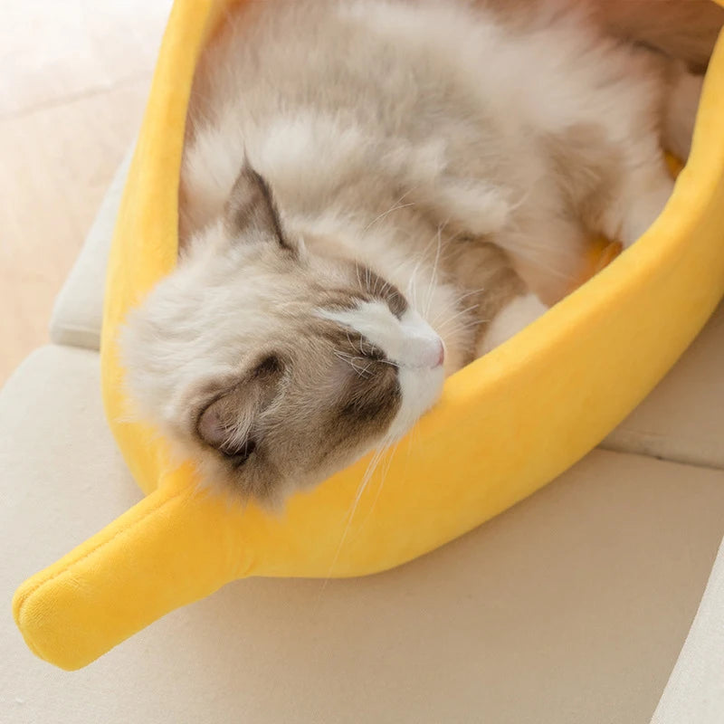 Banana Bed for Cats.... and more!