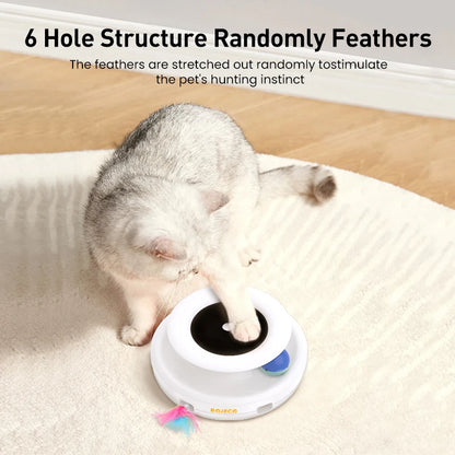 2 in 1 Interactive Smart Cat Teaser Toy